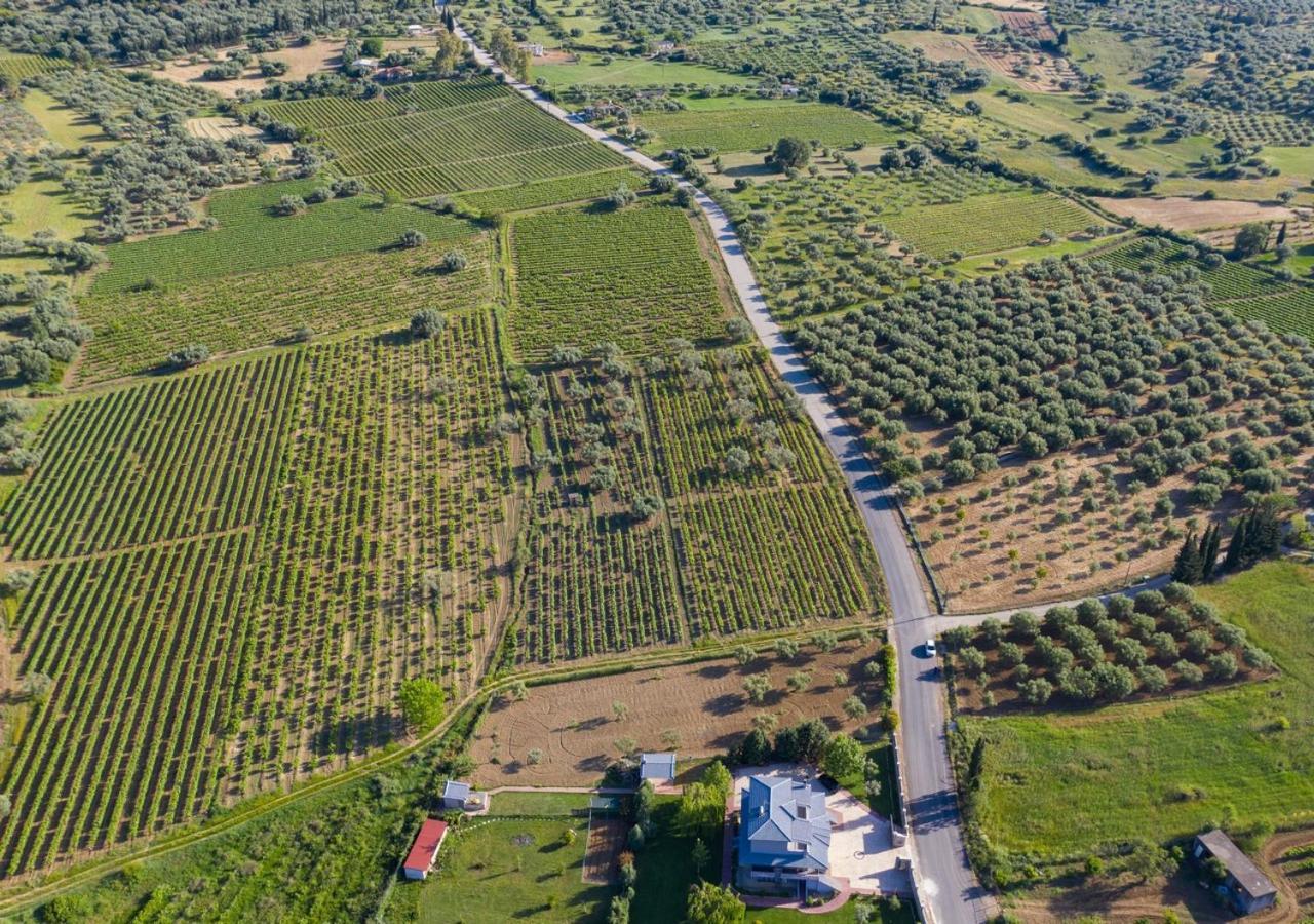 Villa In Nature Mitopoli Eksteriør billede